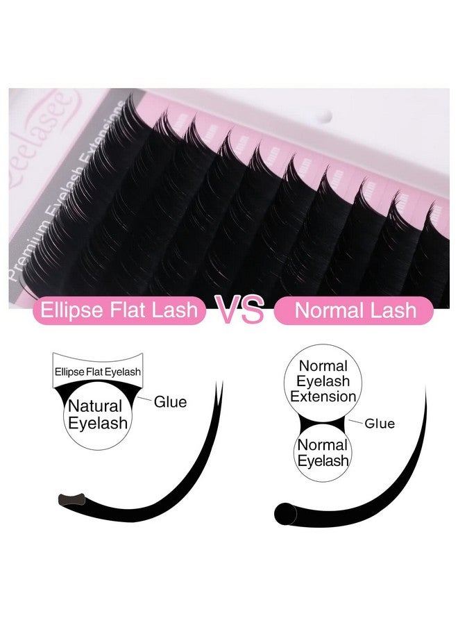 Flat Ellipse Matte Mink Eyelash Extensions 0.15Mm D 10Mm Flat Eyelash Extension Mink Eyelashes Lashes Extension Flat Lash Extension Black Mink Lashes Extensions Salon Use