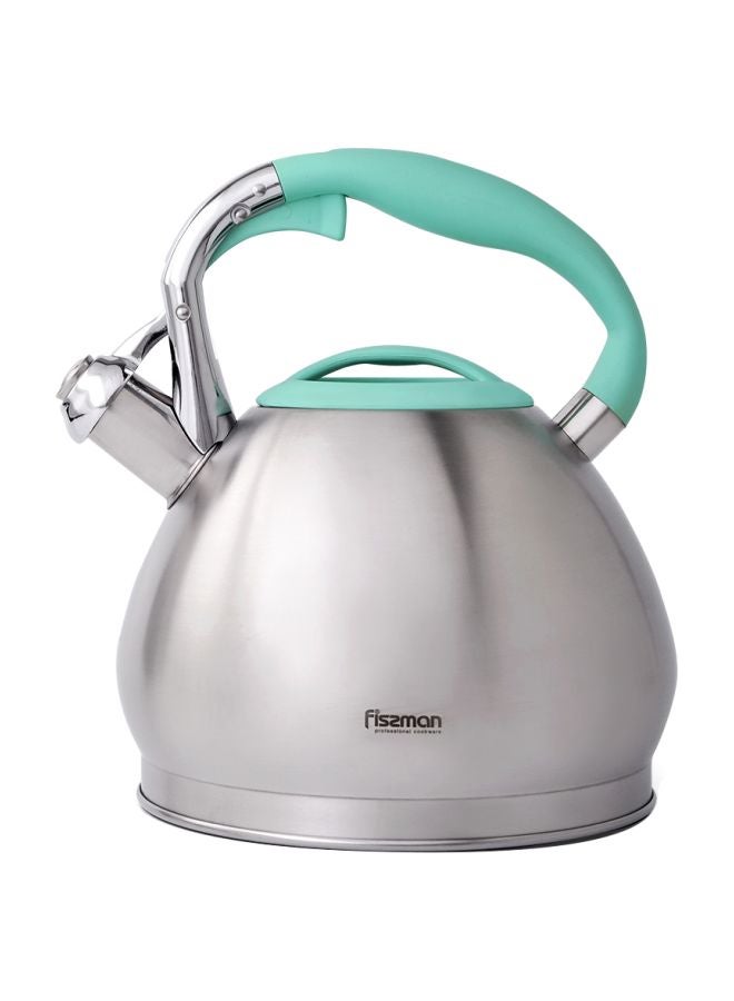 Jessica Whistling Tea Kettle Silver/Green