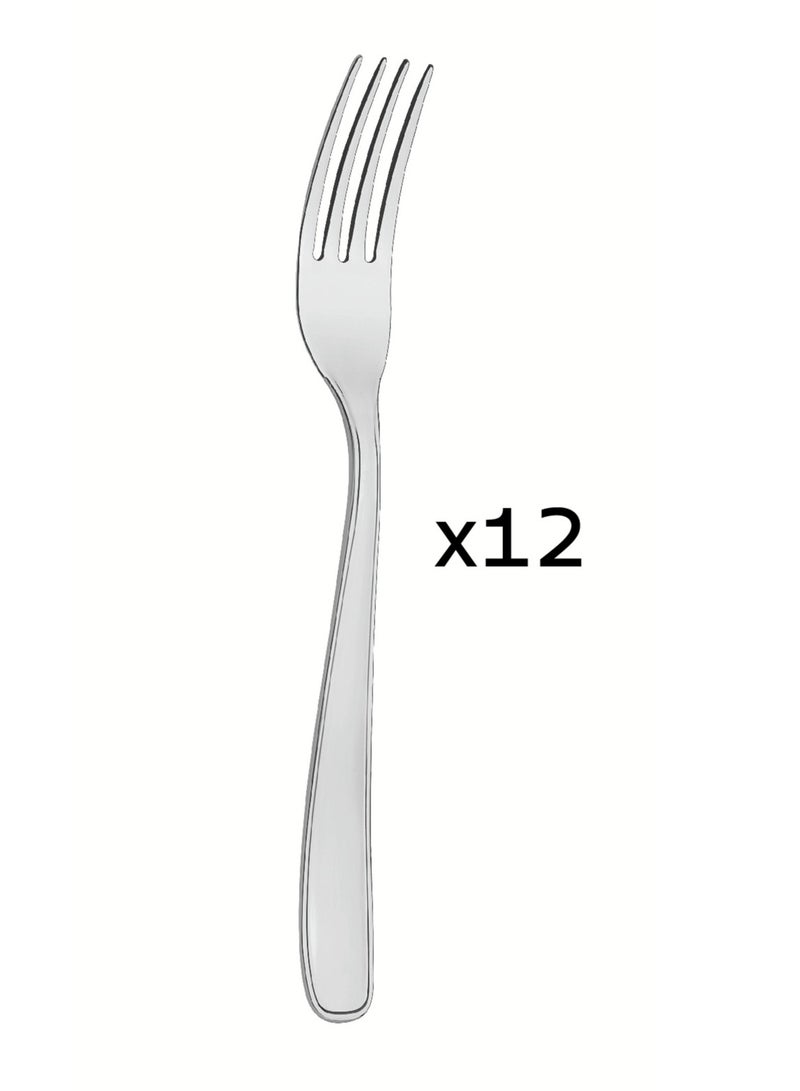 Maresias 12 Pieces Stainless Steel Table Fork Set with Gloss Finish