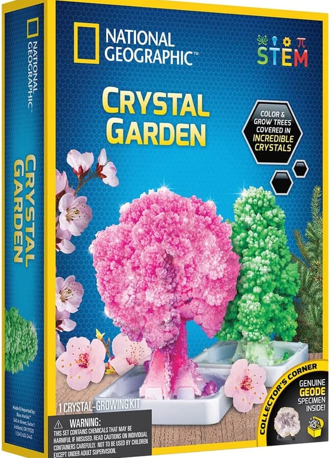 Crystal Growing Garden