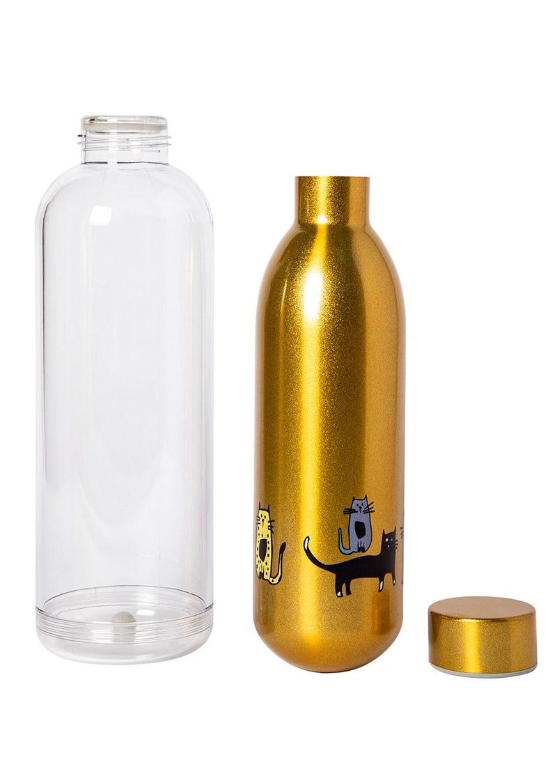 Biggdesign Cats Stainless Steel Water Bottle, 700ML