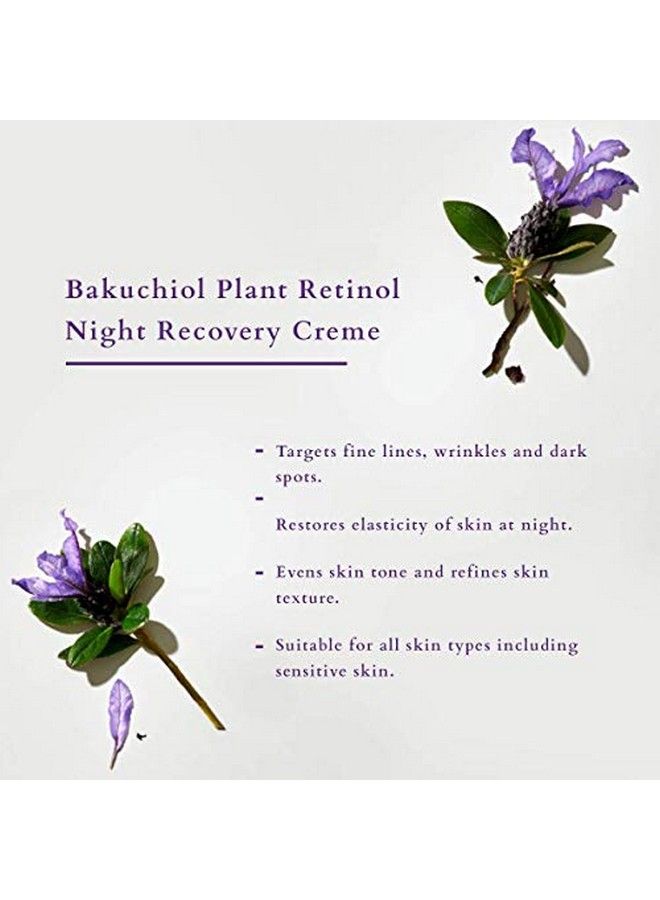 Bakuchiol Plant Retinol Recovery Night Cream ; Reduces Fine Lines & Wrinkles ; Certified Organic ; 50G