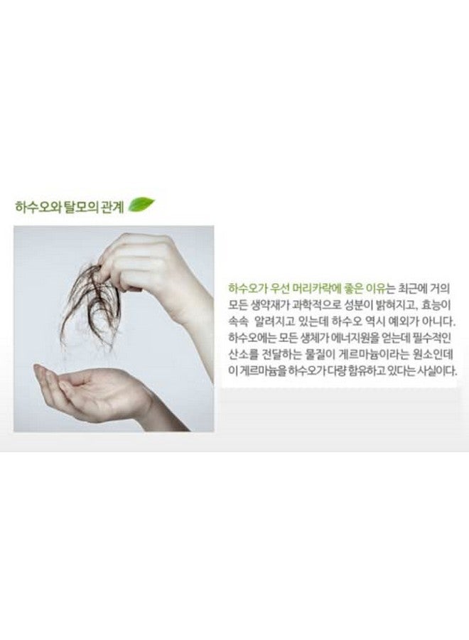 Asuo Herbal Essential Shampoo