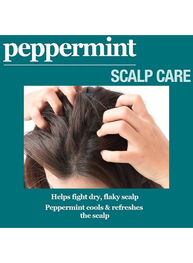 Ifeel Peppermint Scalp Care Shampoo 12 Oz. Sulfate Free Shampoo Made With Natural Ingredients