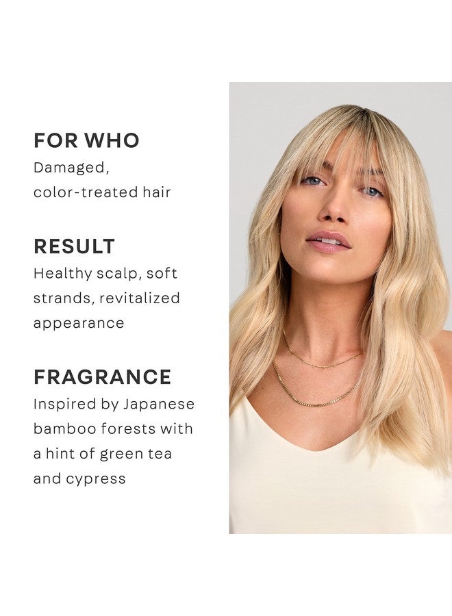 Naturelab Tokyo Perfect Repair Shampoo: Ecofriendly Refill Pouch: Reparative Shampoo To Replenish And Restore Damaged Color Treated Hair And Strengthen New Hair I 22.9 Fl Oz / 680Ml
