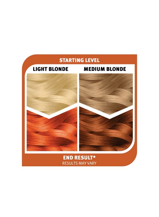 Plat Semipermanent Complete Hair Color Kit/Spicy Copper