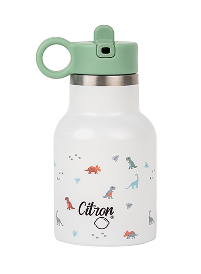 Dino Print Stainless Steel Water Bottle, 250Ml - Green