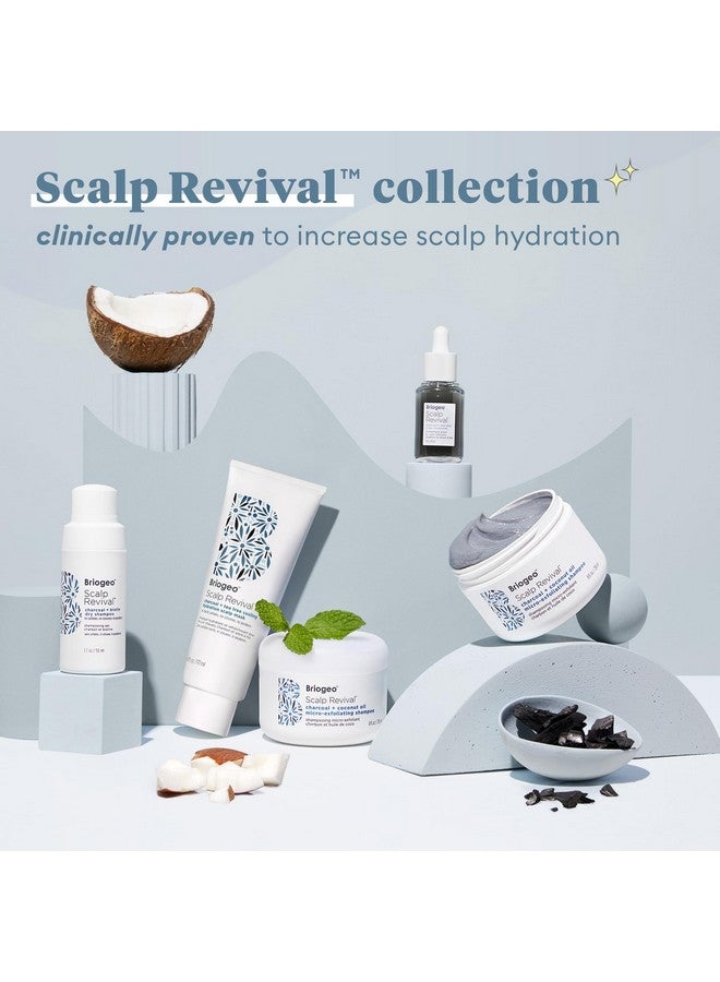 Riogeo Scalp Revival Soothe + Detoxify Hair Care Minis Kit Soothe A Dry Flaky Itchy Scalp Vegan Phalate & Parabenfree Travel Kit