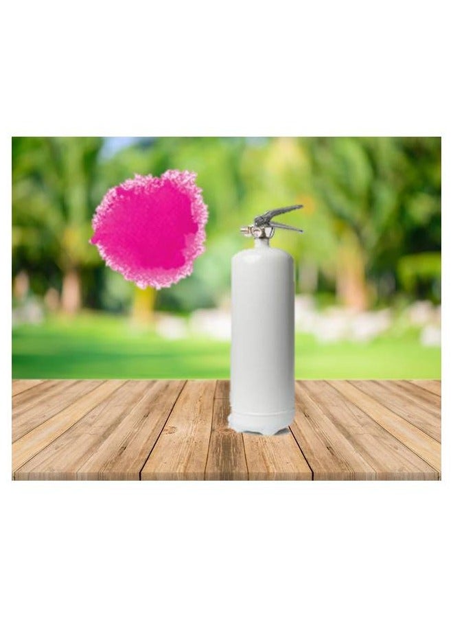 Gender Reveal Color Blaster | Gender Reveal Party | Party Events (1 kg, Pink color in White Cylinder)