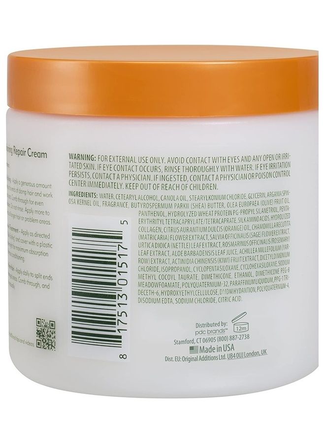 Argan Oil Leave-In Conditioning Repair Cream 453grams