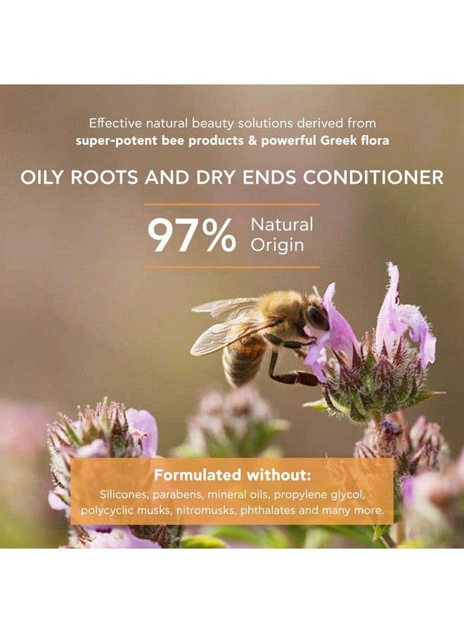 Pivita Conditioner For Oily Roots And Dry Ends For Men And Women Balances Nourishes Hydrates Boosts Volume Repairs Damaged Hair Prevents Breakage & Split Ends With Aloe & Vitamin E 5.07 Fl Oz