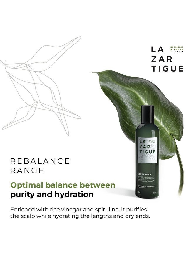 Rebalance Shampoo Enriched With Rice Vinegar & Spirulina Purifies Scalp Hydrates Lengths & Dry Ends Hair Fiber Is Rebalanced Soft & Shiny Vegan Mint 8.4 Oz