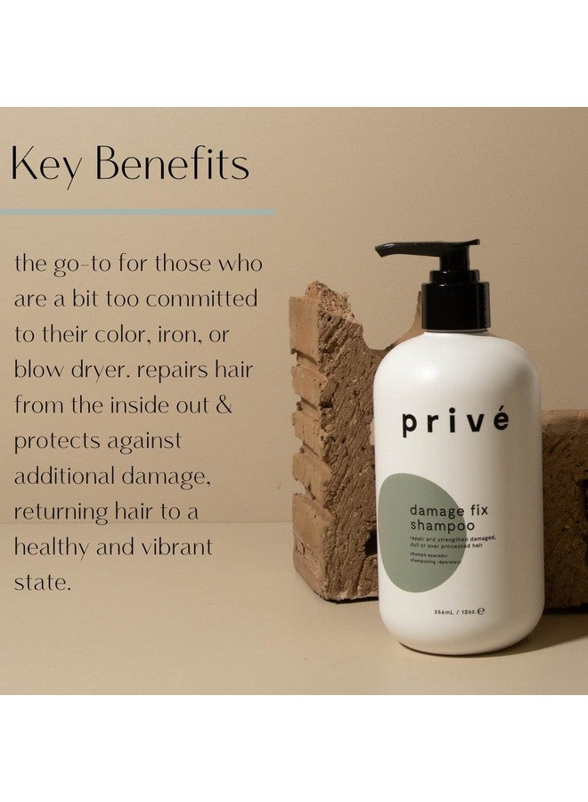 Privé Damage Fix Shampoo Repair And Strengthen Damaged Dull Or Over Processed Hair From Within Natural Ingredients Vegan Crueltyfree Colorsafe Shampoo 12Oz