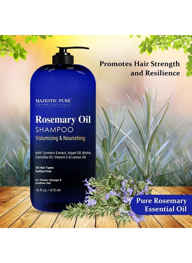 Rosemary Hair Loss Shampoo 16 Fl Oz