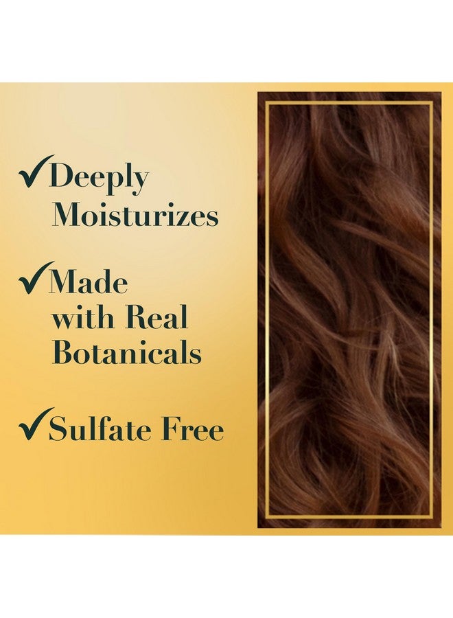 Sulfate Free Shampoo And Conditioner Set Hair Products Infused With Real Aloe & Honey + Vitamin B Paraben Free Safe For Color Treated Hair Bio:Renew 20.2 Fl Oz Each