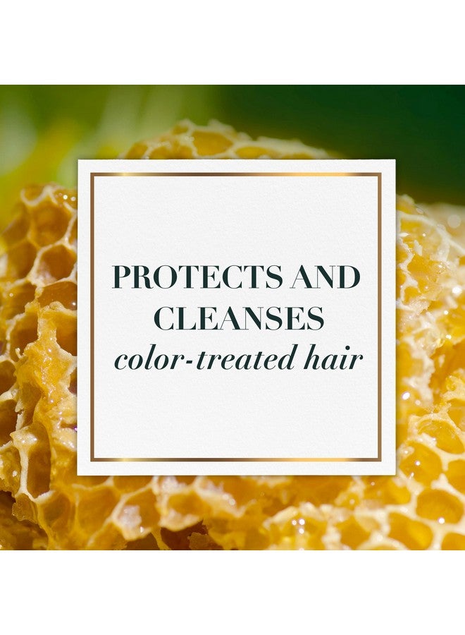 Sulfate Free Shampoo And Conditioner Set Hair Products Infused With Real Aloe & Honey + Vitamin B Paraben Free Safe For Color Treated Hair Bio:Renew 20.2 Fl Oz Each