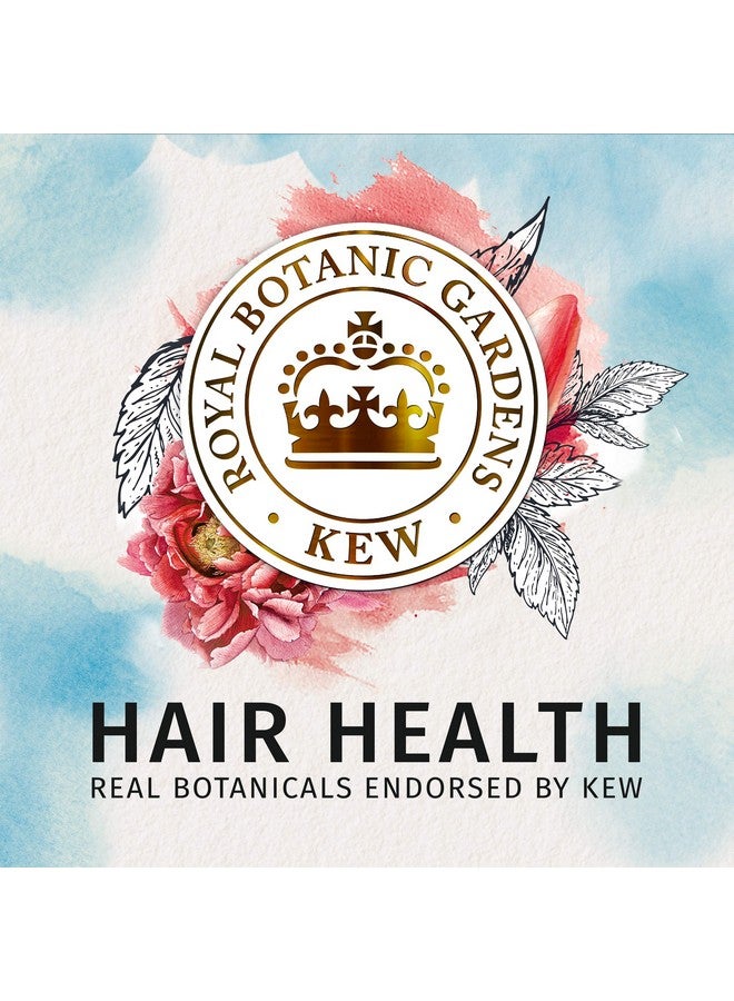 Argan Oil Of Morocco Shampoo And Conditioner For Color Treated Hair Paraben Free Biorenew Bundle Pack 13.5 Fl Oz