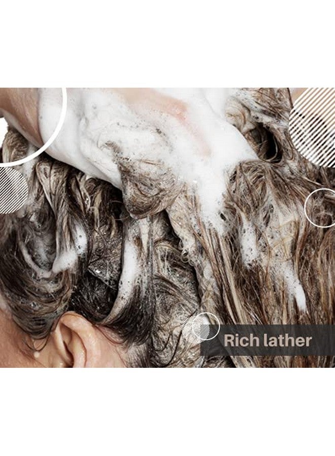 Shampoo Bar & Conditioner Bar Set Fresh Lavender Pure Essential Oils Light Scent Limited Ingredients Concentrated Formula Made Usa Zero Waste Colorfragrance Free Travel Ready