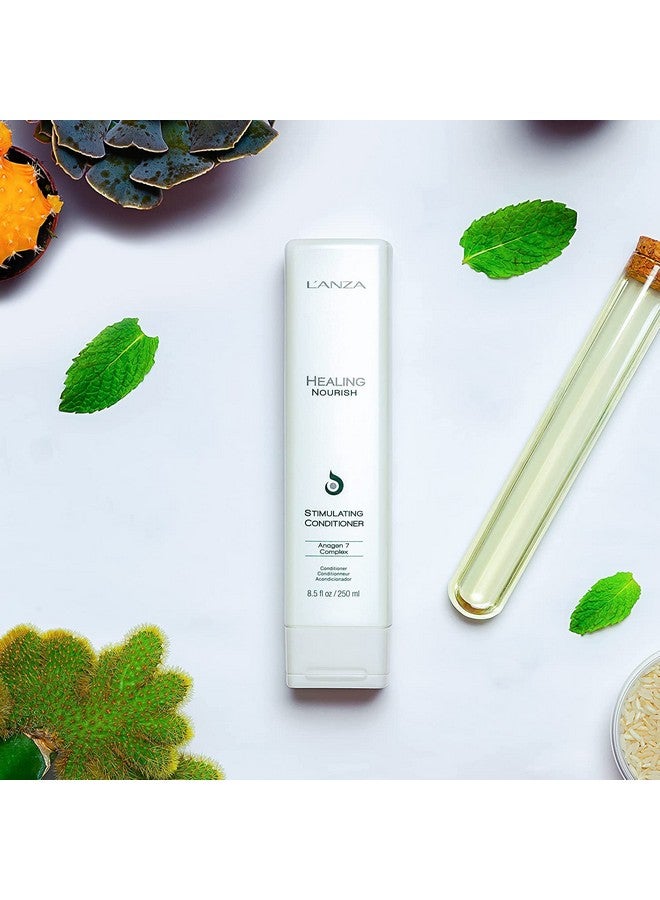 Healing Nourish Stimulating Conditioner Encourages Healthy Hair Growth While Eliminating Dead Skin Cells Sebum Residue & Dht For A Healthy And Fresh Hair And Scalp (8.5 Fl Oz)