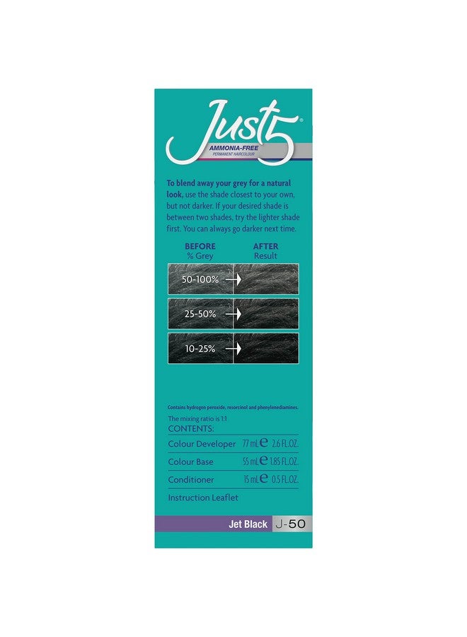 Women'S 5 Minute Permanent Hair Color With Conditioner Grey Hair Coloring For Women Jet Black