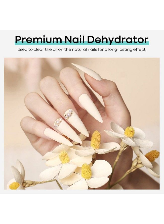 Nail Primer 15Ml Acid Free Nail Dehydrator For Acrylic Nails And Gel Nail Polish Fast Drying Prep Dehydrator Base Varnish Manicure Bonder Liquid