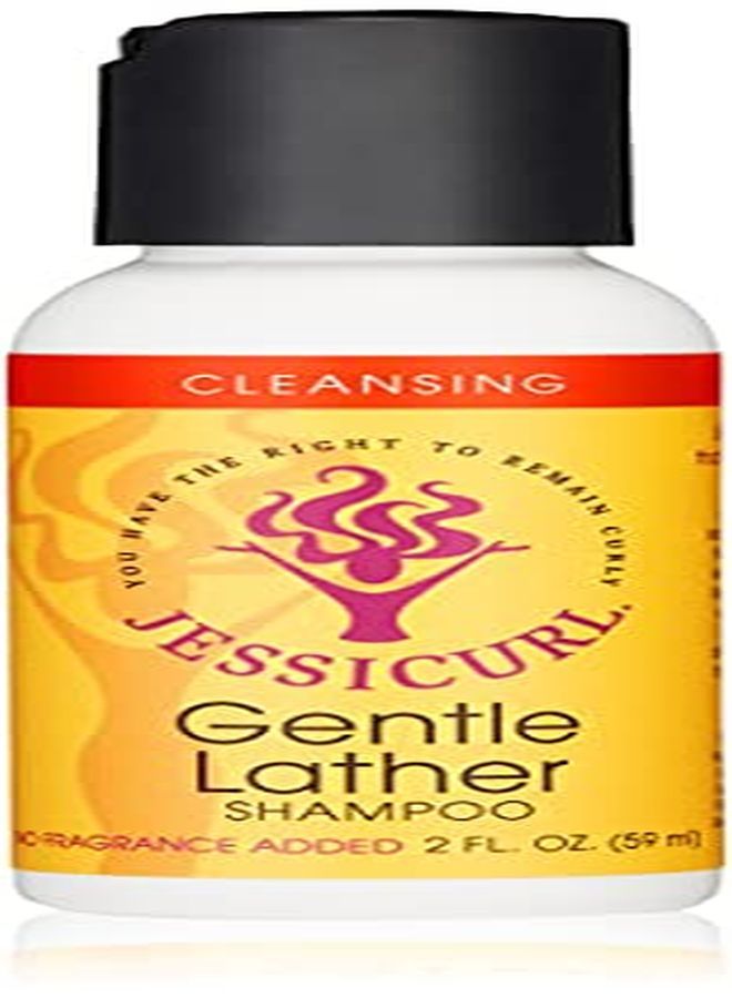 Gentle Lather Shampoo No Fragrance 2 Ounce