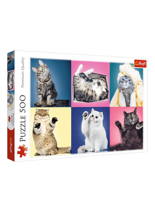 500-Piece Kittens Puzzle 48×34cm