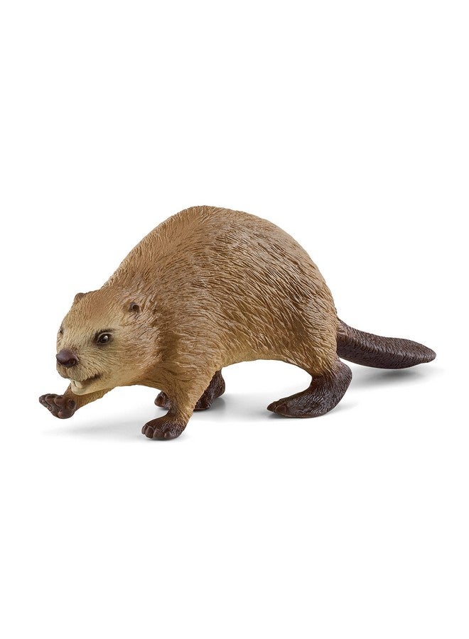 Wild Life Animal Toy For Kids Ages 3+ Beaver