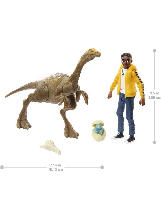 Jurassic World Toys Camp Cretaceous Darius And Gallimimus Human And Dino Pack With 2 Action Figures And 2 Accessories Toy Gift Set And Collectible For Dinosaur Fans