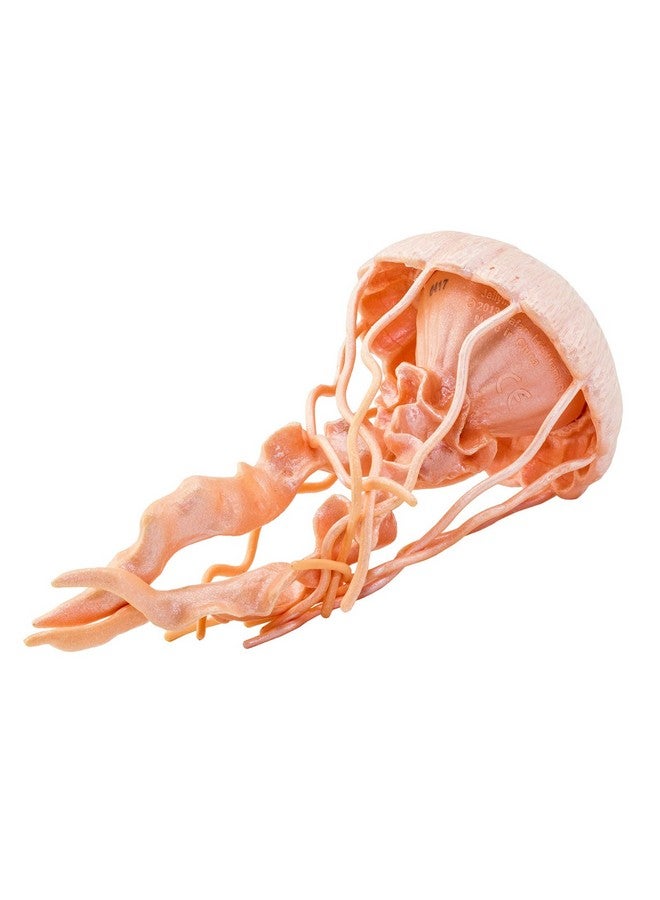 Jellyfish Figurine Detailed 5