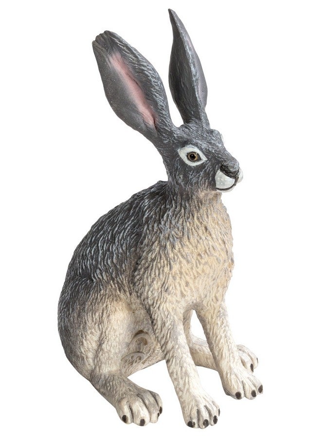 American Desert Hare Figurine Detailed 3