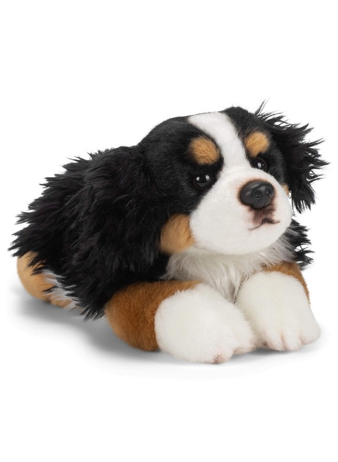 Bernese Mountain Dog Black And Tan 10 Inch Children'S Soft Plush Stuffed Animal Toy