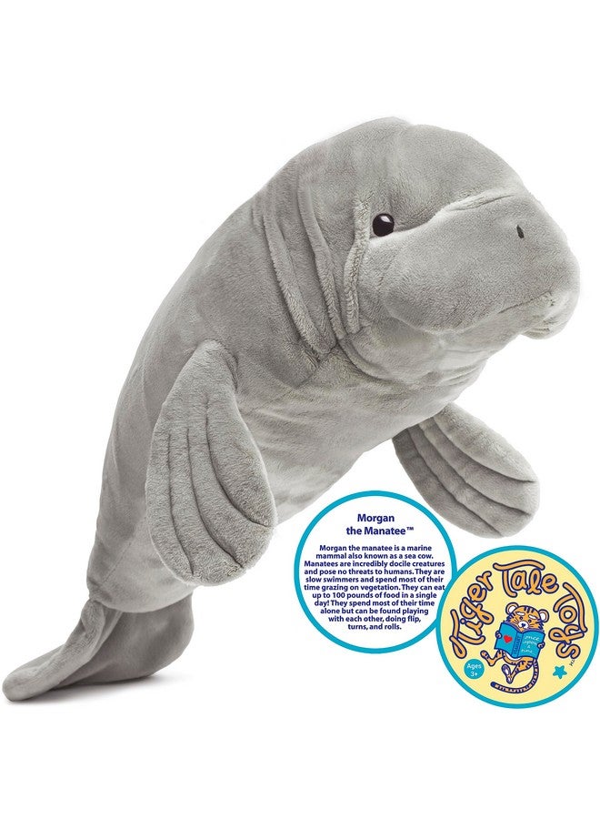 Morgan The Manatee 21 Inch Stuffed Animal Plush By Tiger Tale Toys (New Edition)