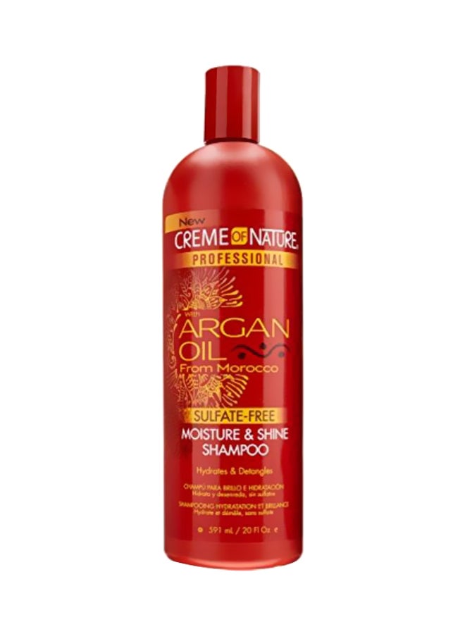 Professional Argan Oil Moisture And Shine Shampoo