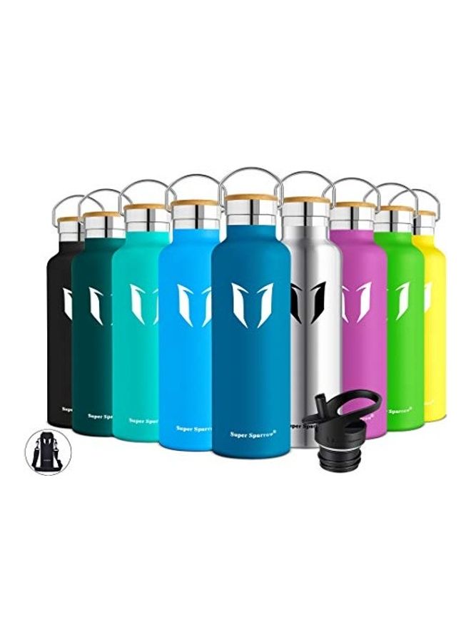 Super Sparrow Stainless Steel Vacuum Insulated Water Bottle NAinch