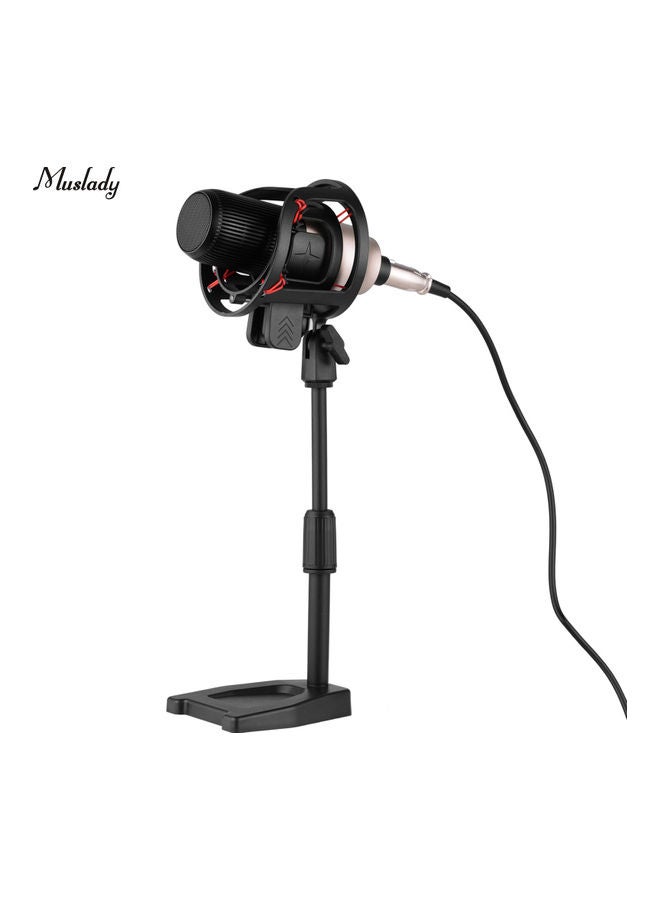 Professional Condenser Microphone With Shock Mount Gold