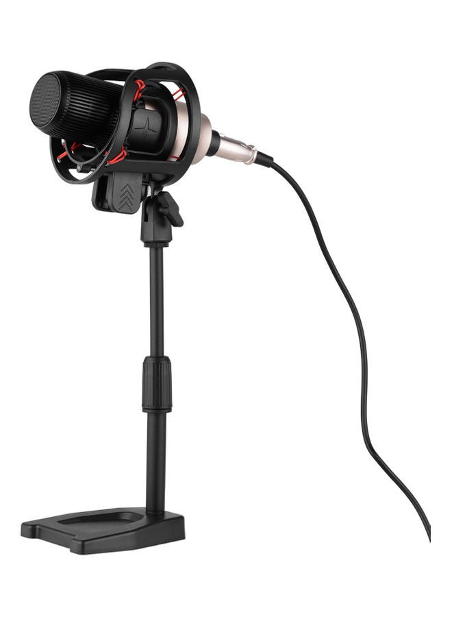 Professional Condenser Microphone With Shock Mount Gold