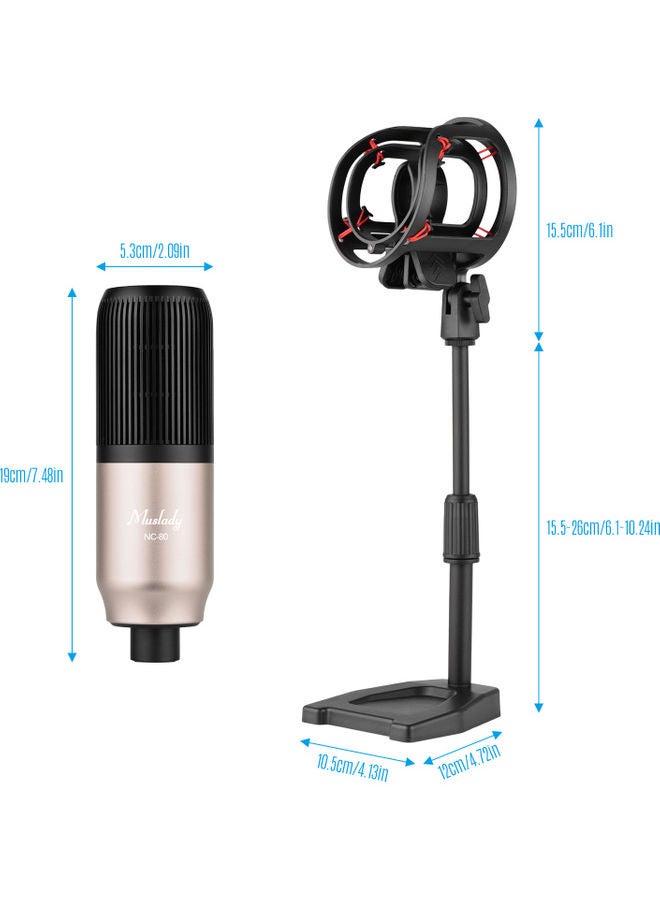 Professional Condenser Microphone With Shock Mount Gold