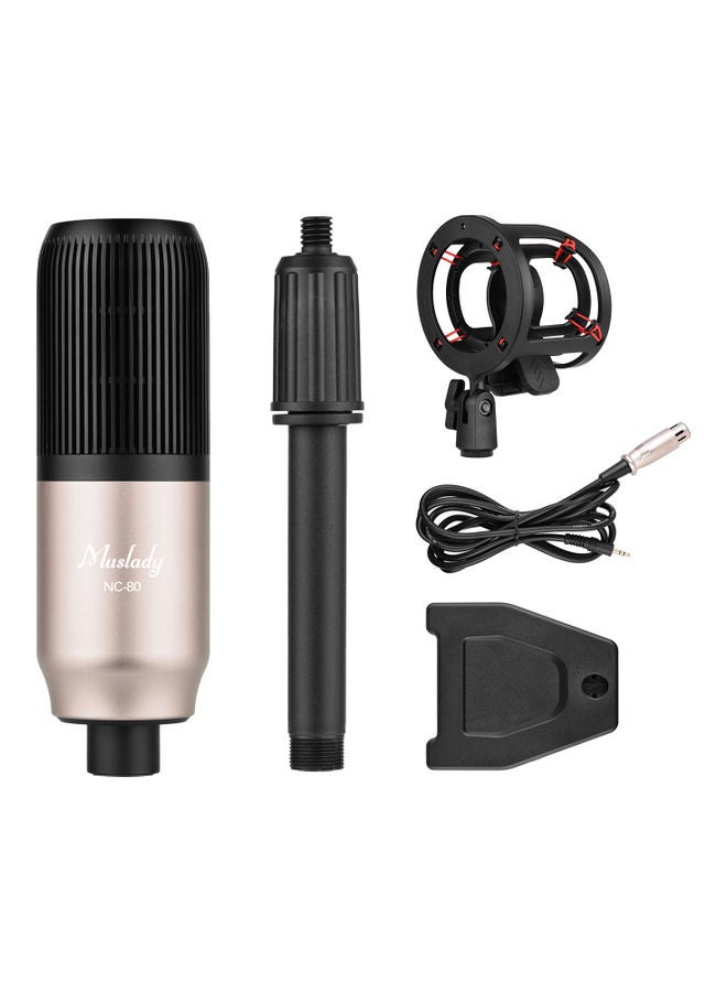 Professional Condenser Microphone With Shock Mount Gold