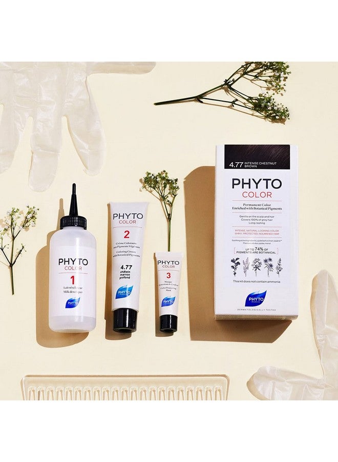 Phyto Phytocolor Permanent Hair Color 4 Brown With Botanical Pigments 100% Grey Hair Coverage Ammoniafree Ppdfree Resorcinfree 0.42 Oz.