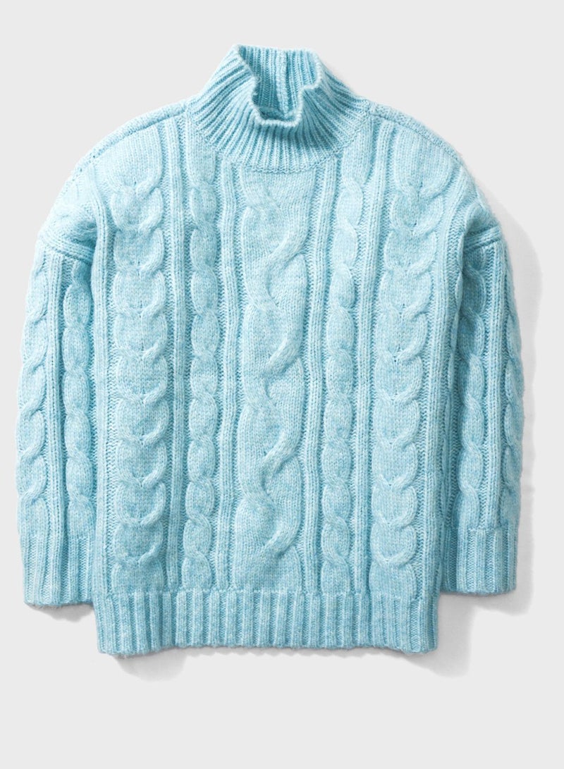 Turtle Neck Cable Knitted Sweater