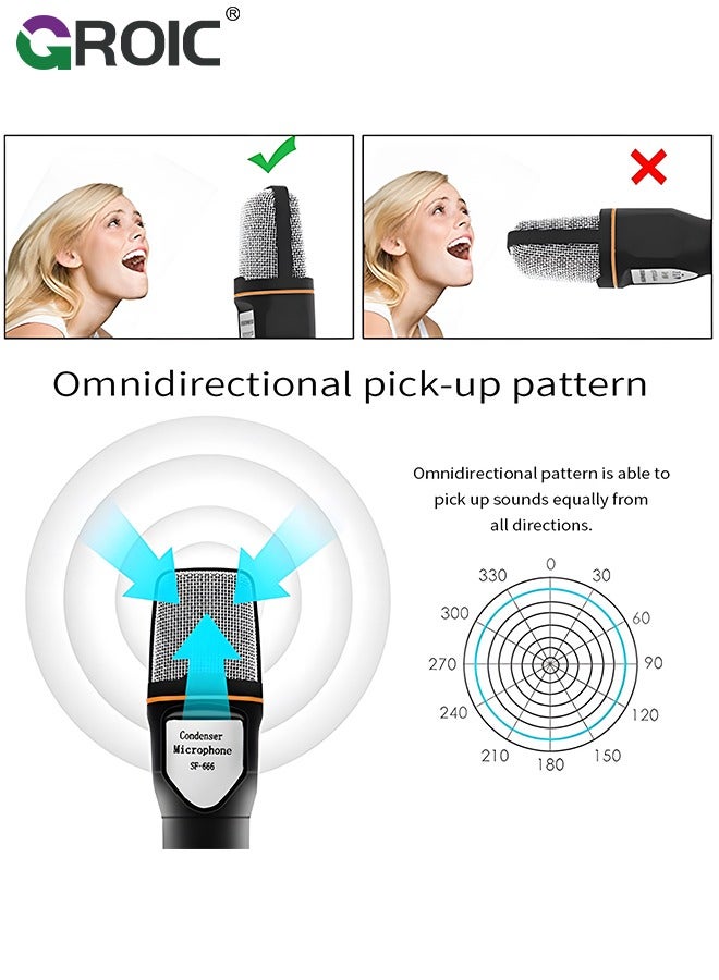 Studio Condenser Black Microphone, Professional HiFi Stereo Low Noise Cardioid Omnidirectional Wired Computer Microphone Set with Desktop Tripod for Recording Live Broadcast Speech, Plug and Play