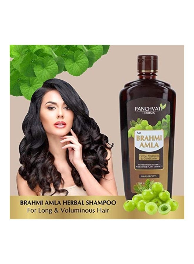 2-Piece Hair Oil with Brahmi Amla Shampoo Combo Pack Multicolour 450 + 100ml