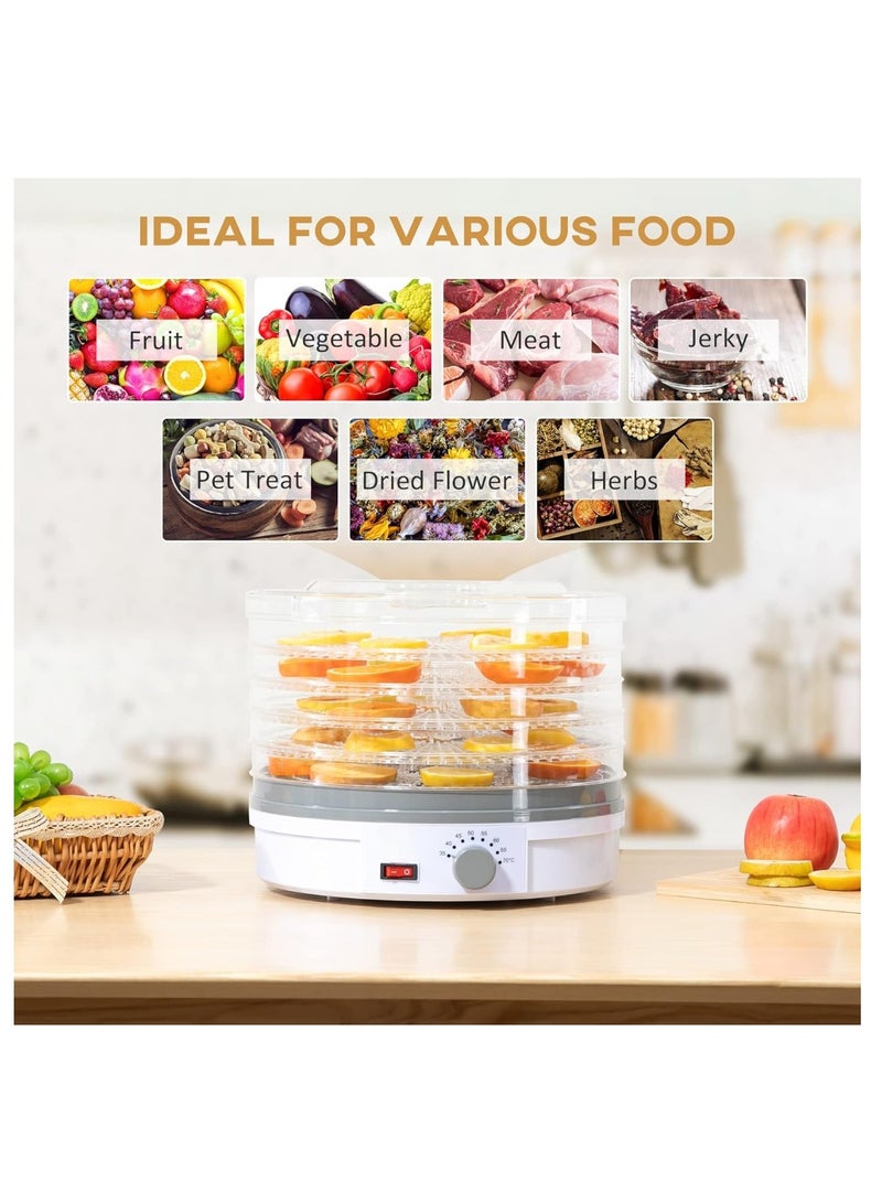 Electric Food Dehydrator Machine 5 Tray Tier Fruit Dryer Beef Jerky Herbs Dryer with Adjustable Thermostat