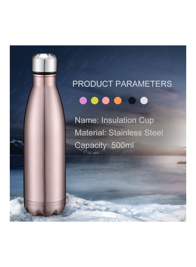 Stainless Steel Water Bottle Rose gold 28x7.5x7.5cm