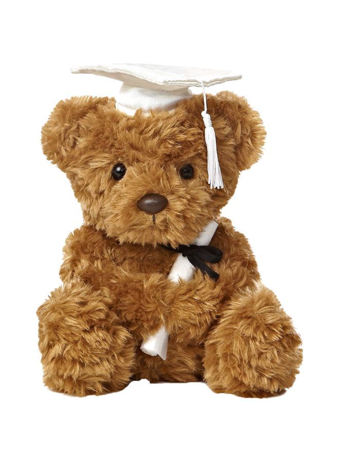 Graduation Bear Teddy 08705 8.5inch