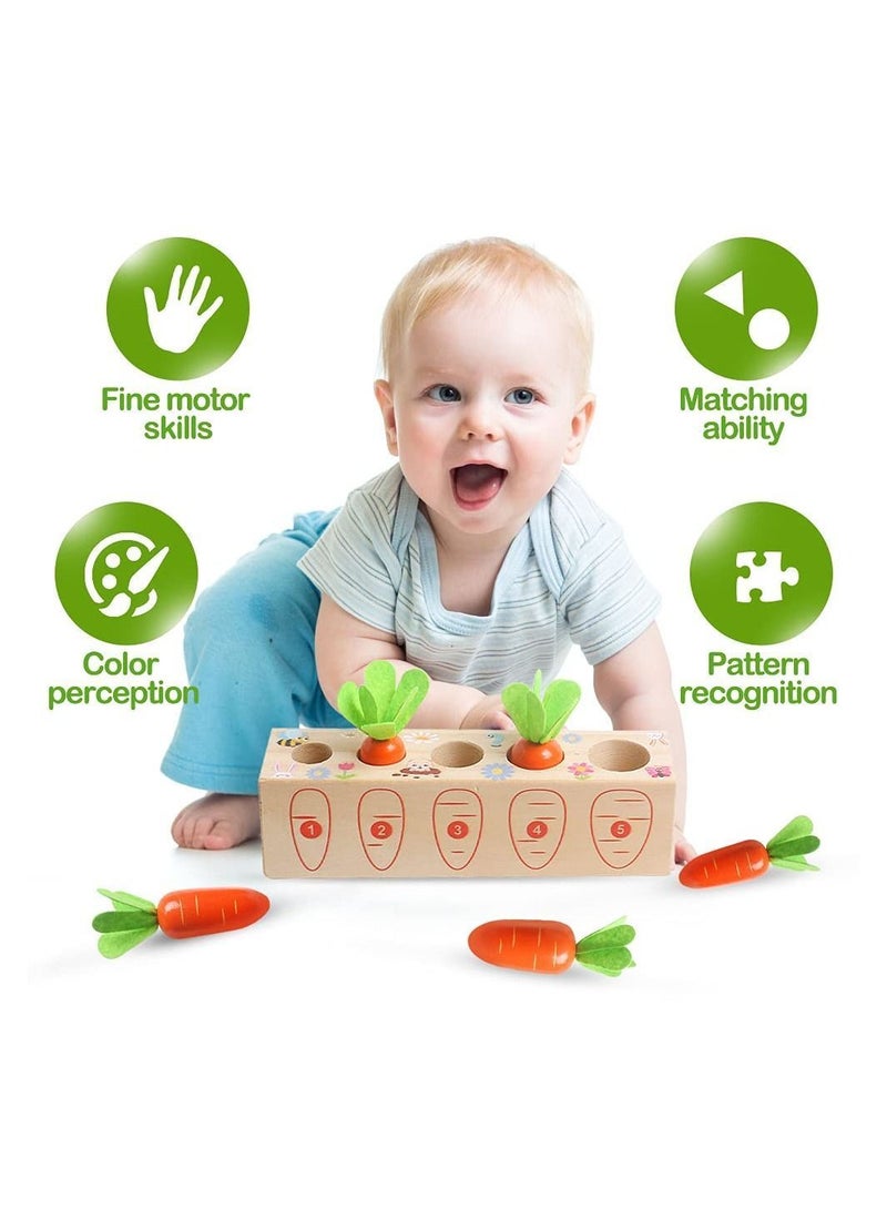 Toy Carrots, Montessori Toys Wooden Carrots Harvest Shape Size Sorting Game Children's Digital Enlightenment Cognition for Kids 1 2 3 4 Year Old Boys and Girls