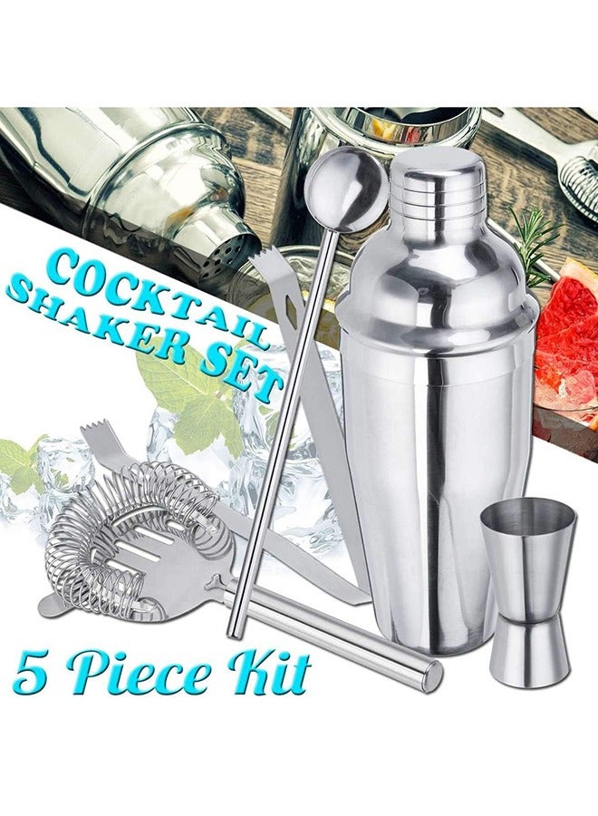 5 Pcs Cocktail Shaker Stainless Steel Set