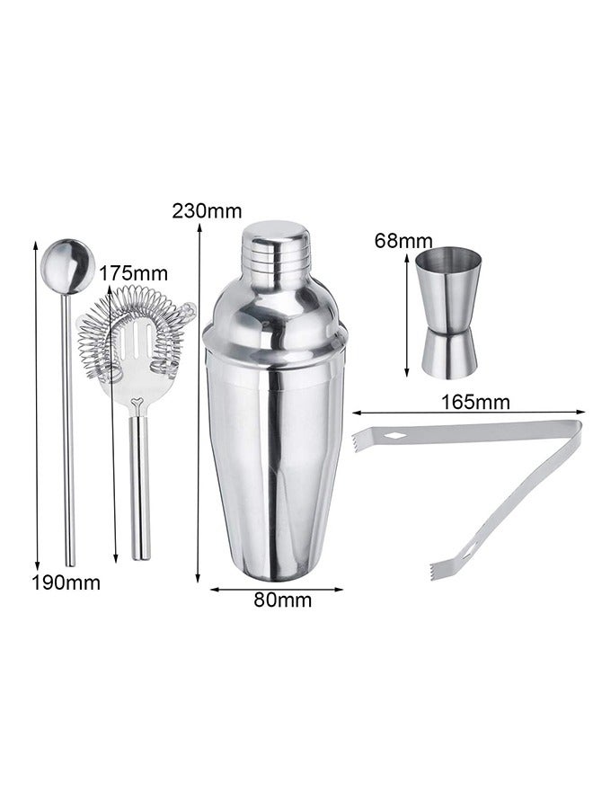 5 Pcs Cocktail Shaker Stainless Steel Set