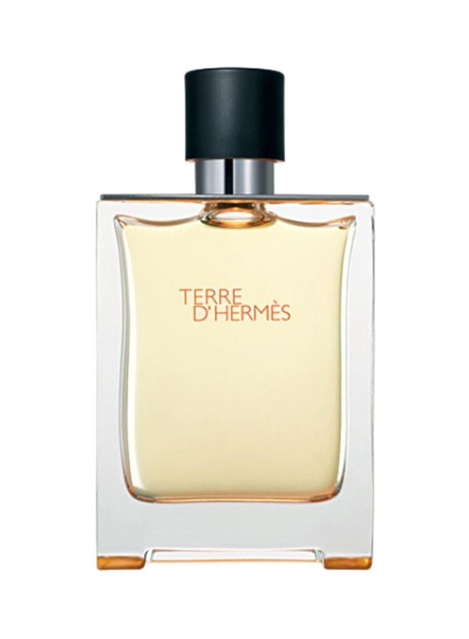 Terre D' Hermes EDT 100ml